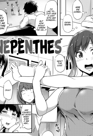 Nepenthes