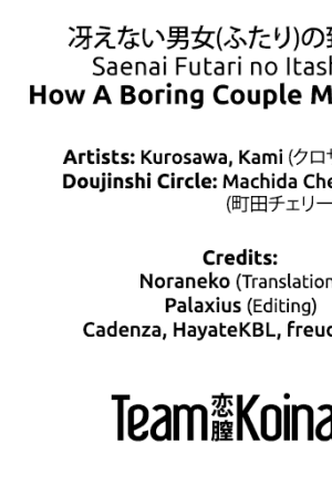 Saenai Futari no Itashikata