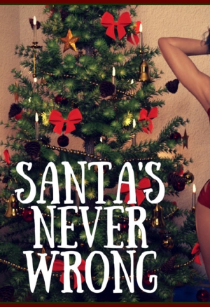 Santa?s Never Wrong