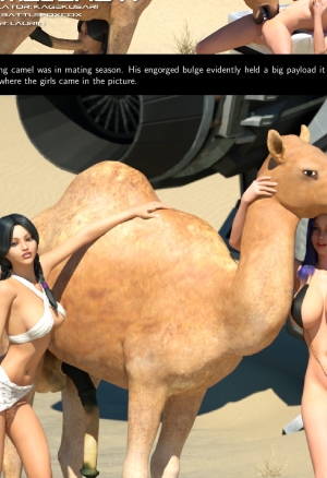 Camel Show