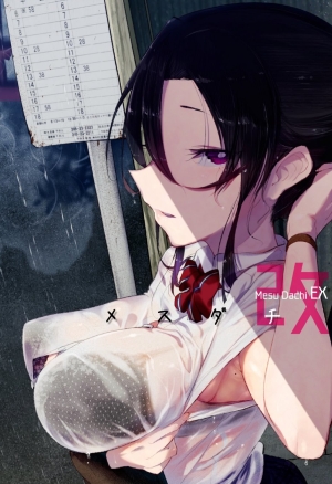 Mesu Dachi EX