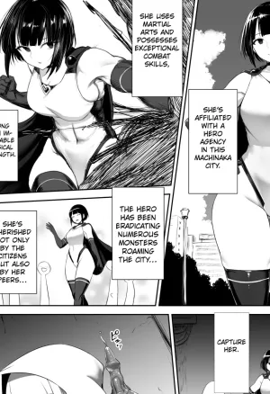 Heroine Koumon Choukyou