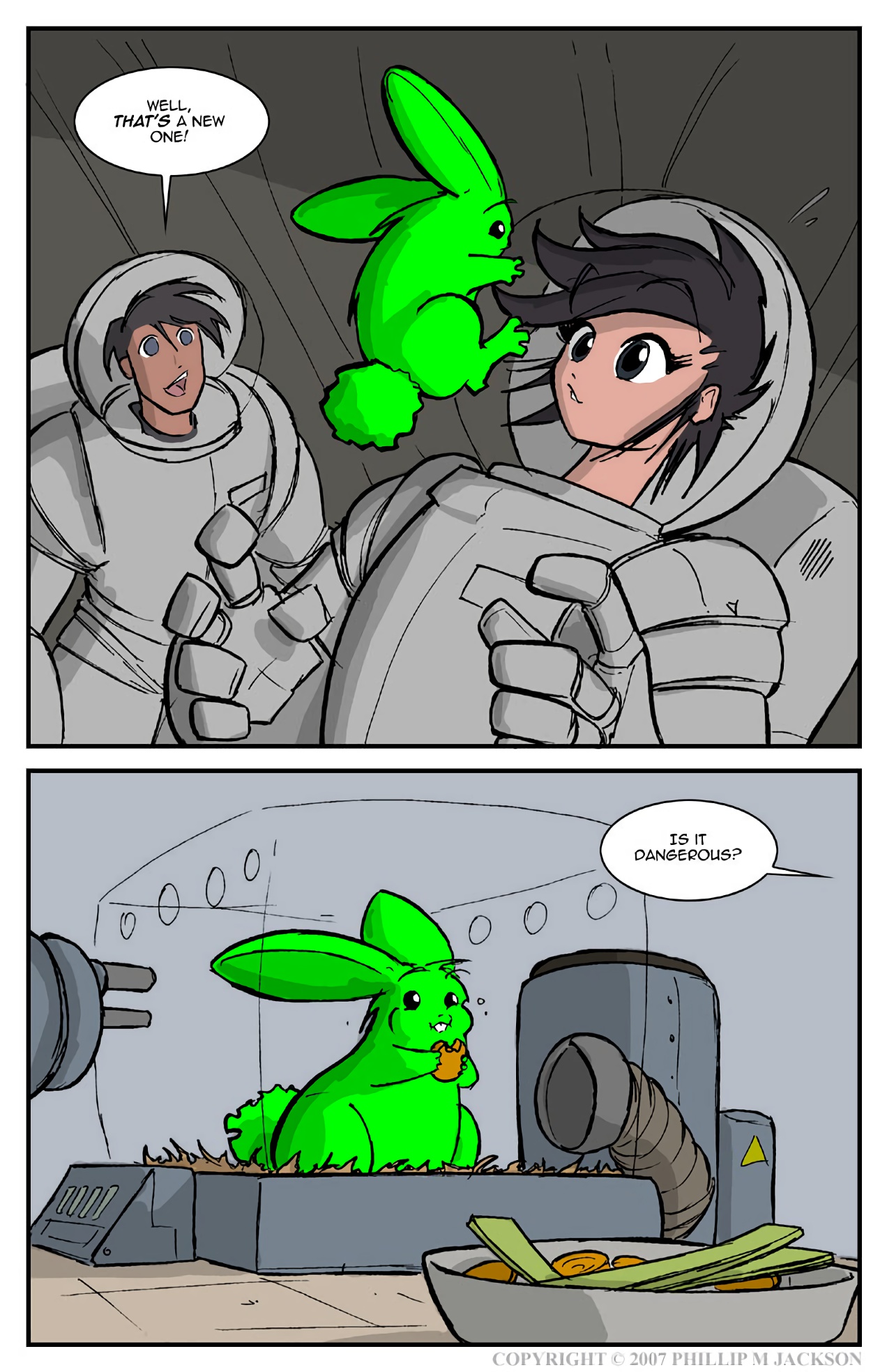 Bunnies image number 2