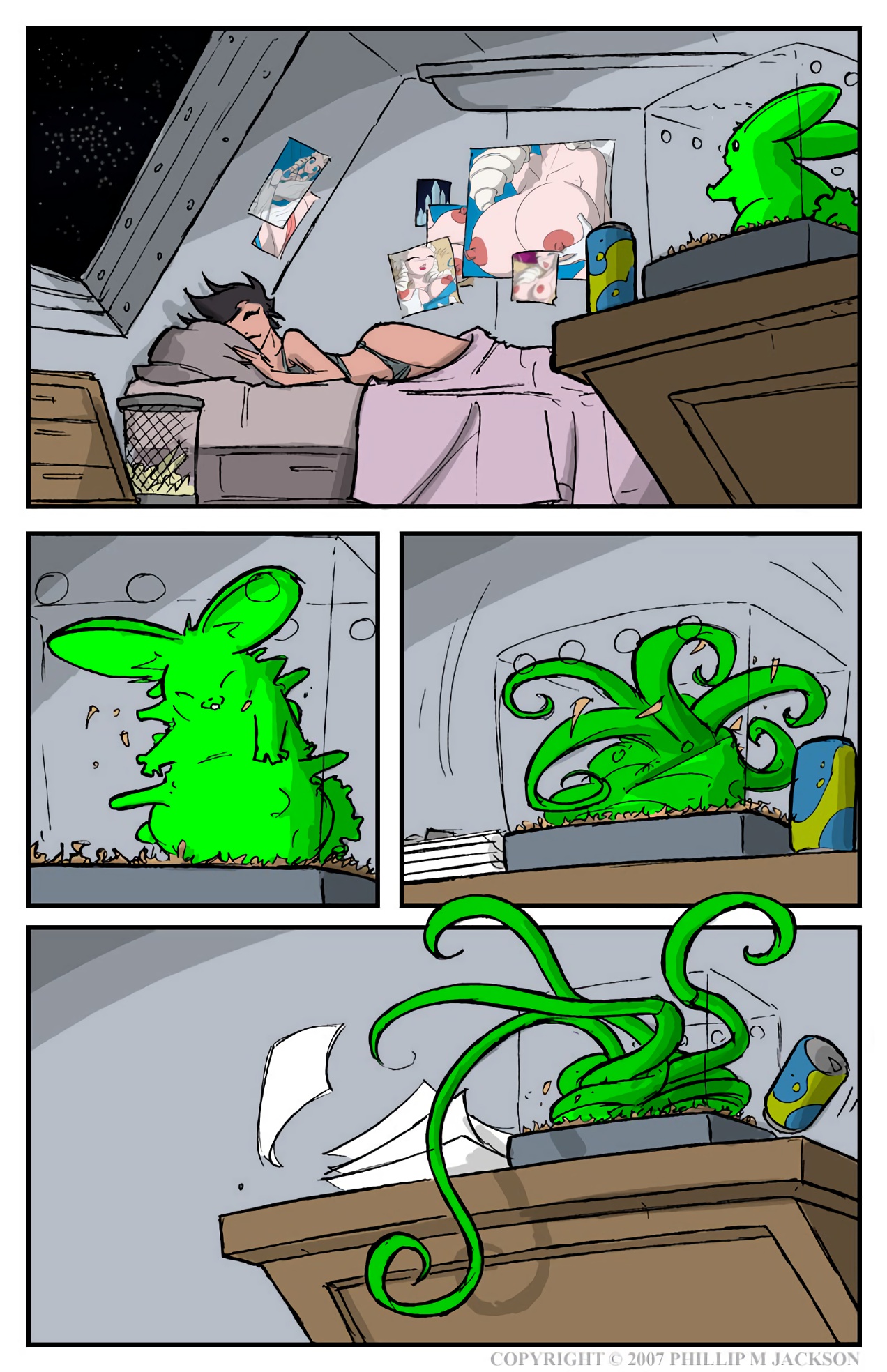 Bunnies image number 4