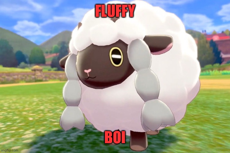 A Sheepish Challenger image number 2